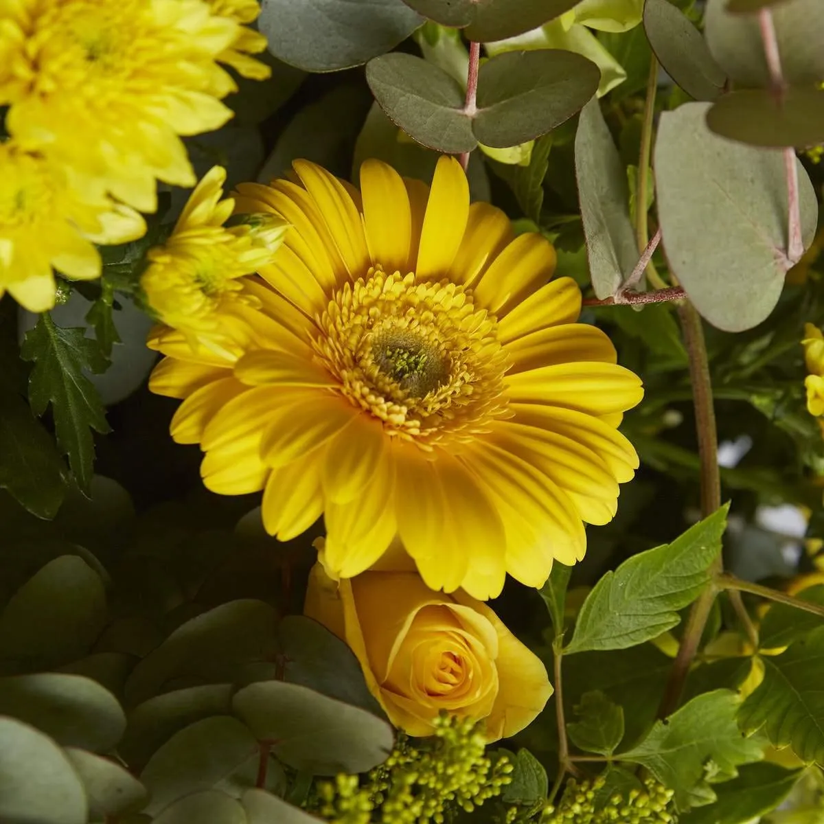 Buttercup Brilliance Flower Arrangement